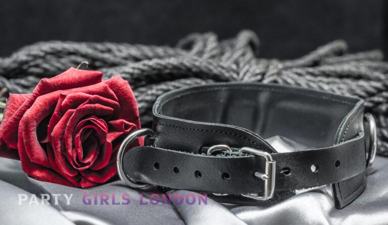 close-up of a black leather collar and red rose on silver satin with rope in the background, symbolising respect and consent in BDSM relationships